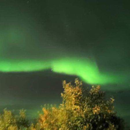 Aurora Rooms In Shared Apartment Nr2 We Are Doing Privet Northen Lights Trips, Reindeer Trip And Fjord Sommaroy Trip ทรอมโซ ภายนอก รูปภาพ