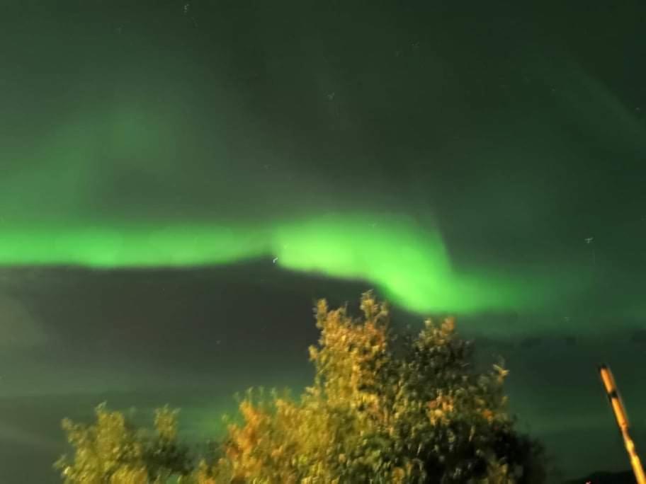 Aurora Rooms In Shared Apartment Nr2 We Are Doing Privet Northen Lights Trips, Reindeer Trip And Fjord Sommaroy Trip ทรอมโซ ภายนอก รูปภาพ